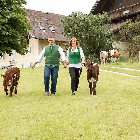 公寓 Am Bio-bauernhof 滨湖上特鲁姆